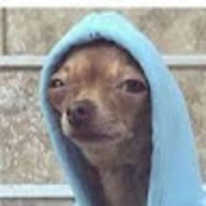 Meet your Posher, Kylie